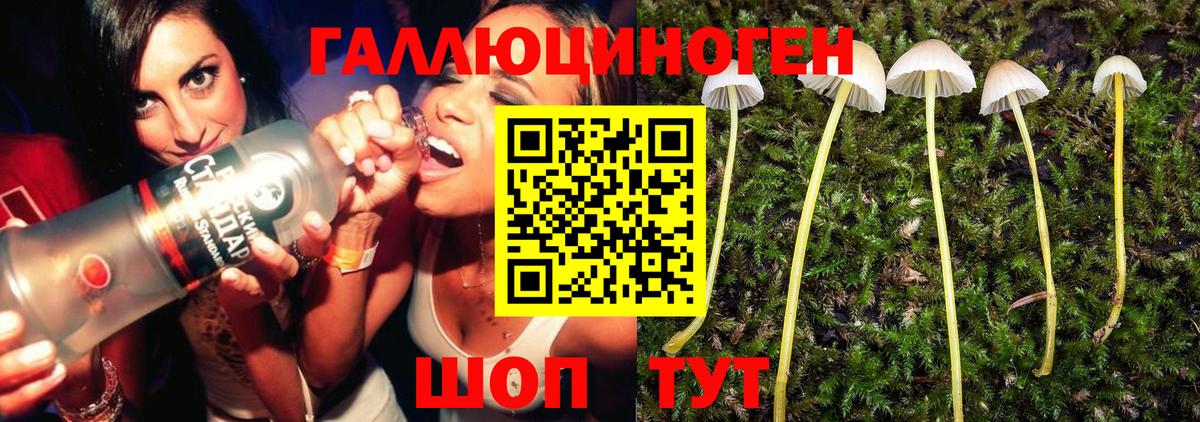 Галлюциногенные грибы прущие грибы  Вход с VPN  Казань 