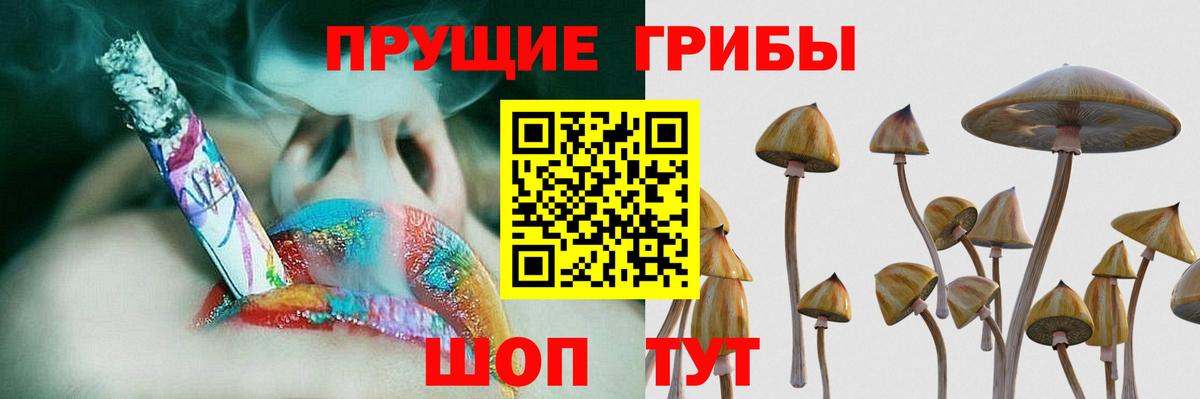 Галлюциногенные грибы ЛСД Казань